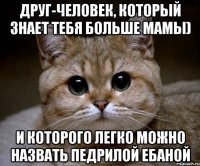 друг-человек, который знает тебя больше мамы) и которого легко можно назвать педрилой ебаной