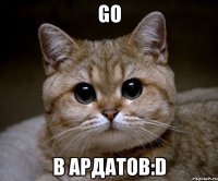 go в ардатов:d