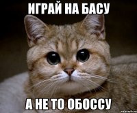 играй на басу а не то обоссу