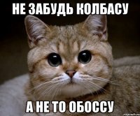 не забудь колбасу а не то обоссу