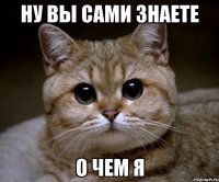 ну вы сами знаете о чем я