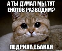 а ты думал мы тут енотов разводим? педрила ебаная