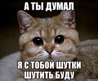 а ты думал я с тобой шутки шутить буду