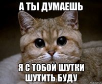 а ты думаешь я с тобой шутки шутить буду