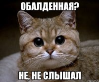 обалденная? не, не слышал