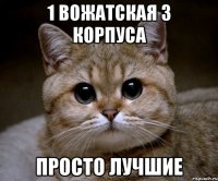 1 вожатская 3 корпуса просто лучшие