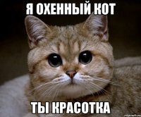 я охенный кот ты красотка