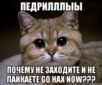 педрилллыы почему не заходите и не лайкаете go hax now???