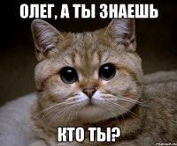 олег, а ты знаешь кто ты?