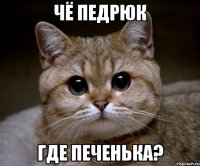 чё педрюк где печенька?