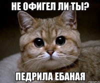 не офигел ли ты? педрила ебаная