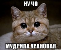 ну чо мудрила урановая