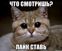 что смотришь? лайк ставь