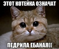 этот котейка означат педрила ебаная((