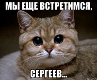 мы еще встретимся, сергеев...