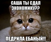 саша ты сдал экономику?? педрила ебаный!!