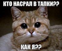 кто насрал в тапки?? как я??