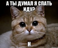 а ты думал я спать иду? н