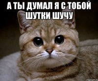 а ты думал я с тобой шутки шучу 