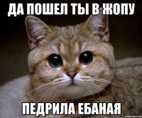 да пошел ты в жопу педрила ебаная