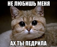 не любишь меня ах ты педрила