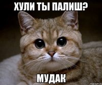 хули ты палиш? мудак