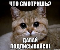 что смотришь? давай подписывайся)