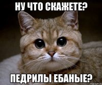 ну что скажете? педрилы ебаные?