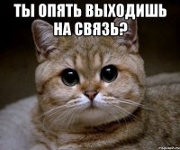 ты опять выходишь на связь? 