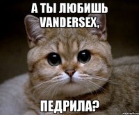 а ты любишь vandersex, педрила?