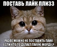 поставь лайк плизз разве можно не поставить лайк если кто то делает такую морду ?