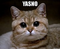 yasno 