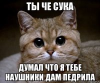 ты че сука думал что я тебе наушники дам педрила