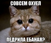 совсем охуел педрила ебаная?