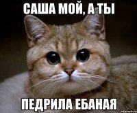 саша мой, а ты педрила ебаная