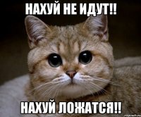 нахуй не идут!! нахуй ложатся!!