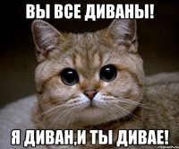 вы все диваны! я диван,и ты дивае!