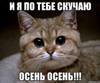 и я по тебе скучаю осень осень!!!