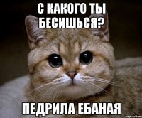 с какого ты бесишься? педрила ебаная