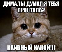 дима,ты думал я тебя простила? наивный какой!!!