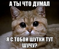 а ты что думал я с тобой шутки тут шучу?