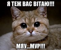 я теж вас вітаю!!! мяу...мур!!!