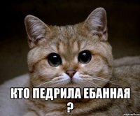  кто педрила ебанная ?