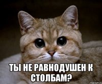  ты не равнодушен к столбам?