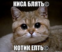 киса блять© котик епть©