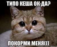 типо кеша ок да? покорми меня(((