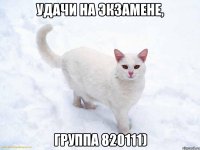 удачи на экзамене, группа 820111)