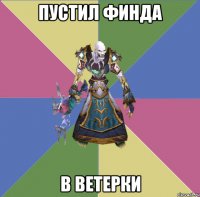 пустил финда в ветерки