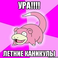 ура!!! летние каникулы