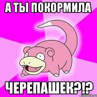 а ты покормила черепашек?!?